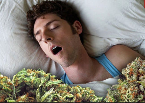 a photo of a guy sleeping covered up with a blanket of cannabis