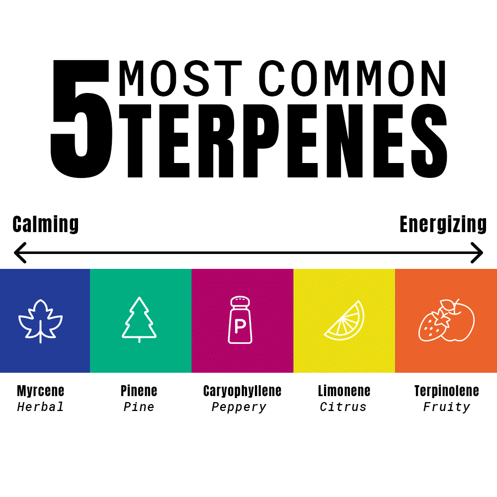 5 Most Common Terpenes.gif
