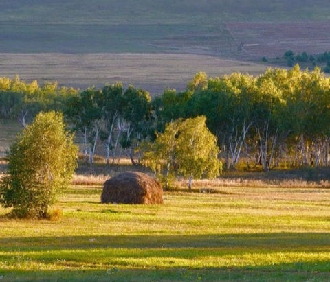  Природа родного края