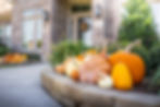 Landscape Pumpkins SR