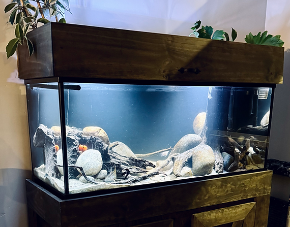Caroline’s tank
