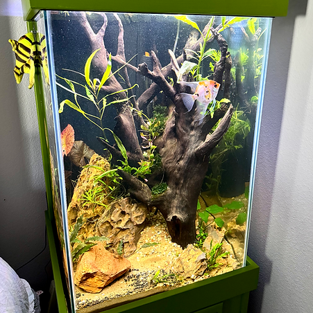tall tank