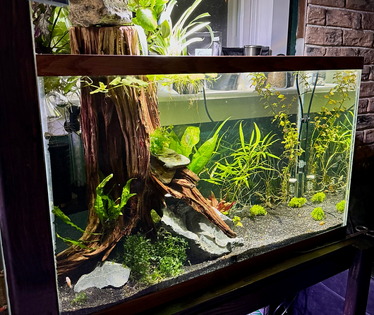 home tank