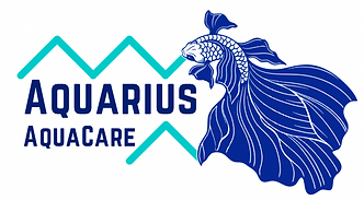 AAC Logo 2