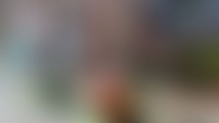 Le cru déchiré de Cambremer 🤣