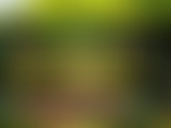 La douceur de Cambremer