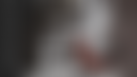 VIES SAUVAGES : Exposition à la Majestic Gallery Montsûrs (53)