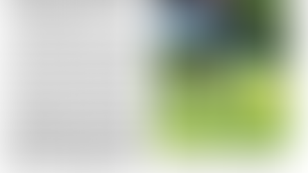 Bouteille en papier mâché : recyclage ou upcycling ?