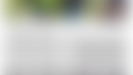 Trail Pom'Haies Verger