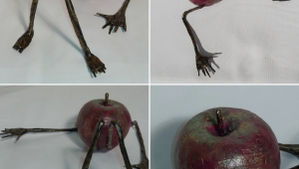 Pomme