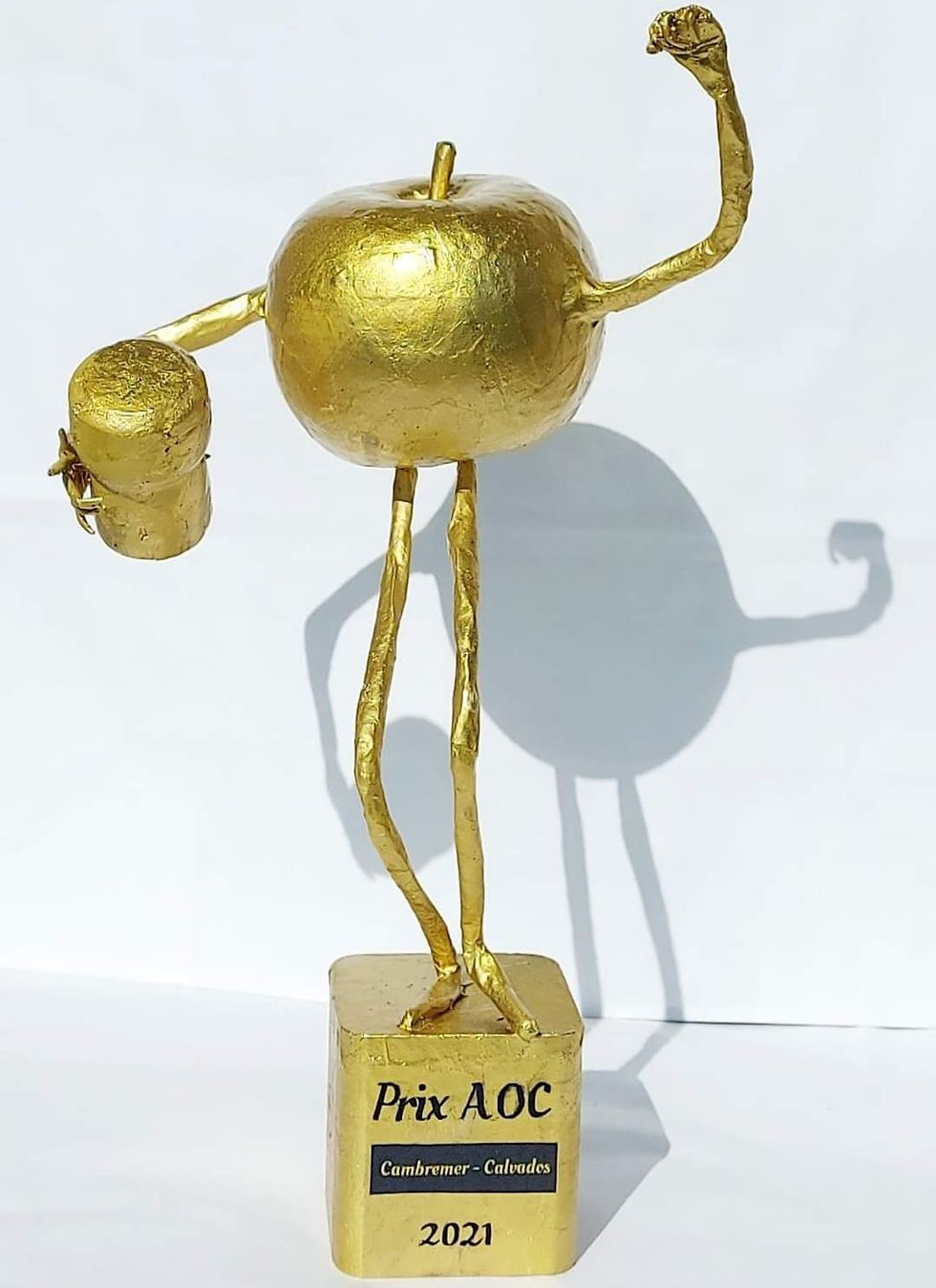 Trophée 2021 – Ambroise Dupont
