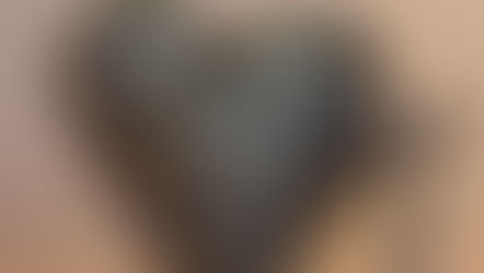 Joyeux Noël à tous ✨️!