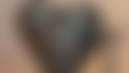 Joyeux Noël à tous ✨️!