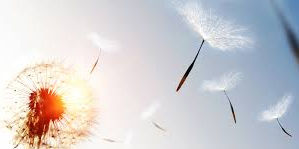 Halloween, Toussaint, fête des défunts.