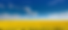 AdobeStock_66754745 1 (1).png
