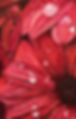 image0.jpeg