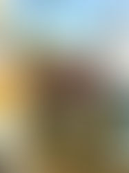 Crystal Beak Dog Park: Fundraising Jam