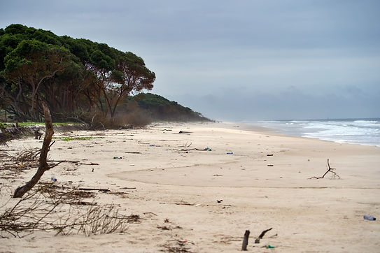 plage.jpg