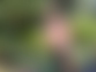 "HIIT-ing the gym: Because who needs a social life when you can have abs?"