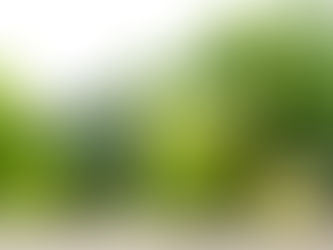 "Going green never tasted so good: a vegan detox adventure"