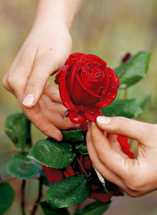 Amoureux de Bien Etre