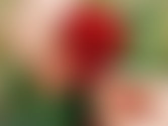 Amoureux de Bien Etre