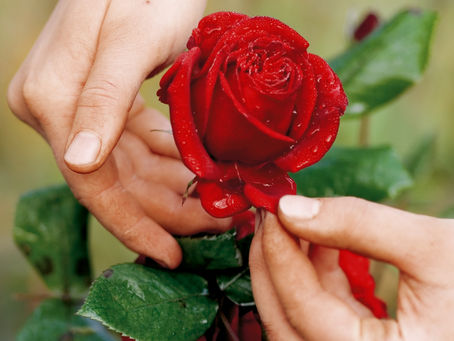 Amoureux de Bien Etre