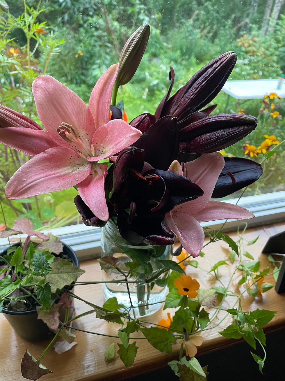 fall lillies
