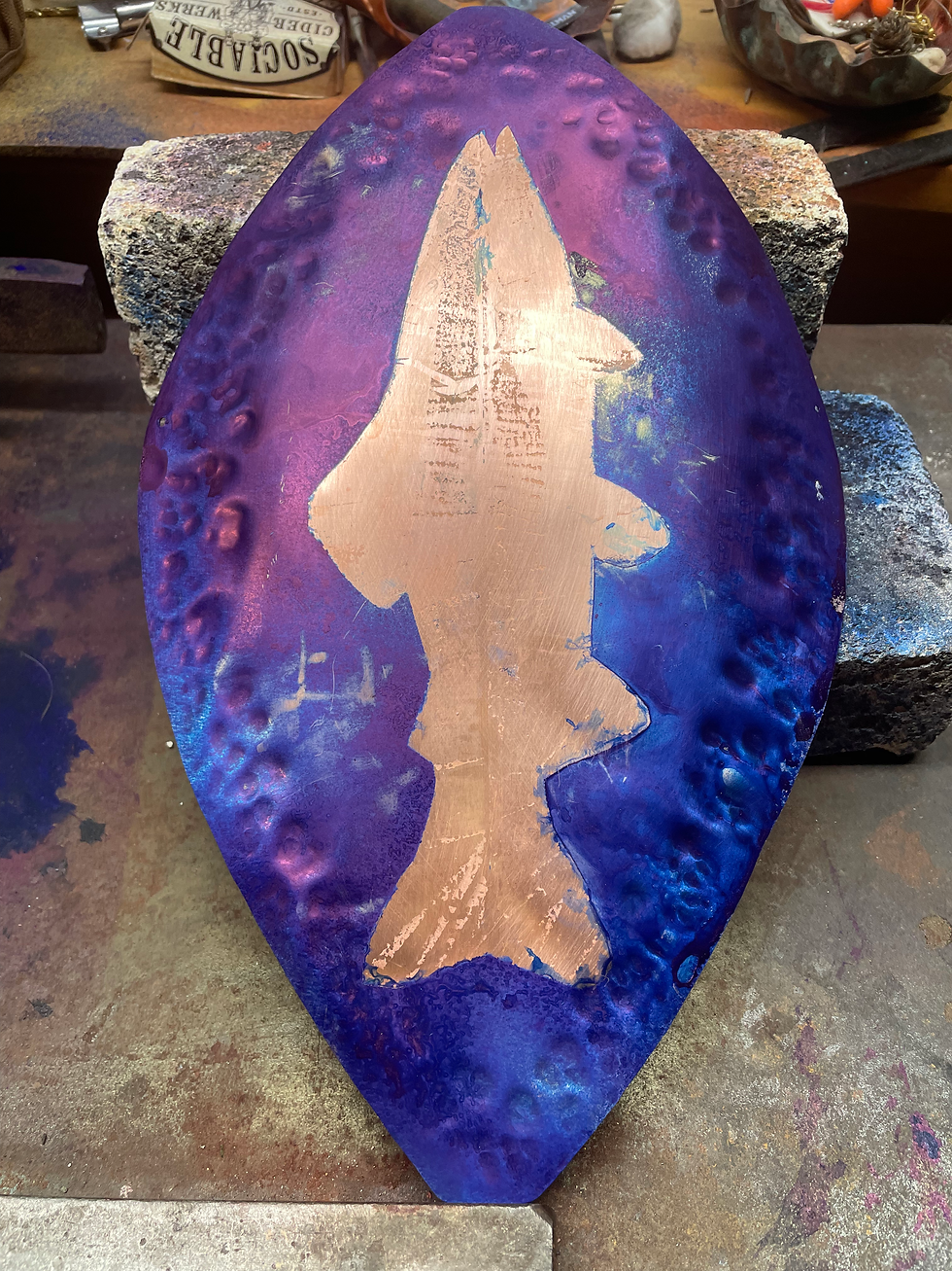 shield for copper river reds in progress