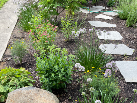 Preparing Your Community (and Yourself!) for Systems Change