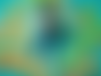 Experience Wellness: LetsBeHealthy's Unique Physical and Mental Health Approach