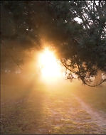 Oraci%C3%B3n%20Virgen%205%20febrero%2020