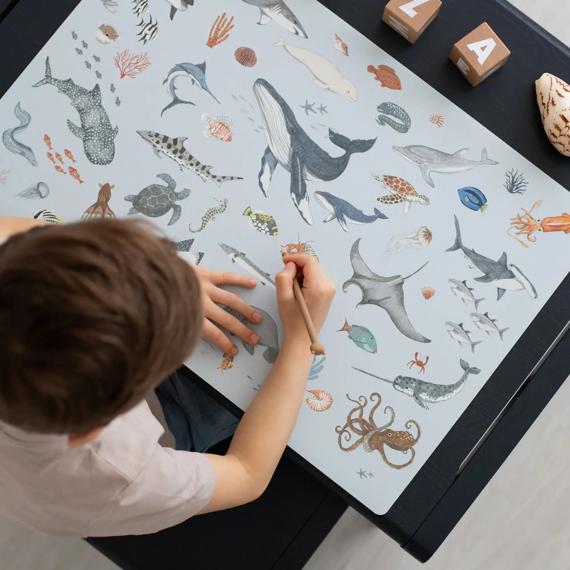 Schreibunterlage abwaschbar, Meerestiere