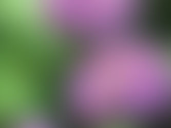 6月・7月の予定