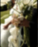 IMG_4791.jpeg