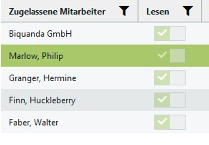 Freigeben von Ansichten in der Kapazizätsplanung des ERP-Systems Biquanda
