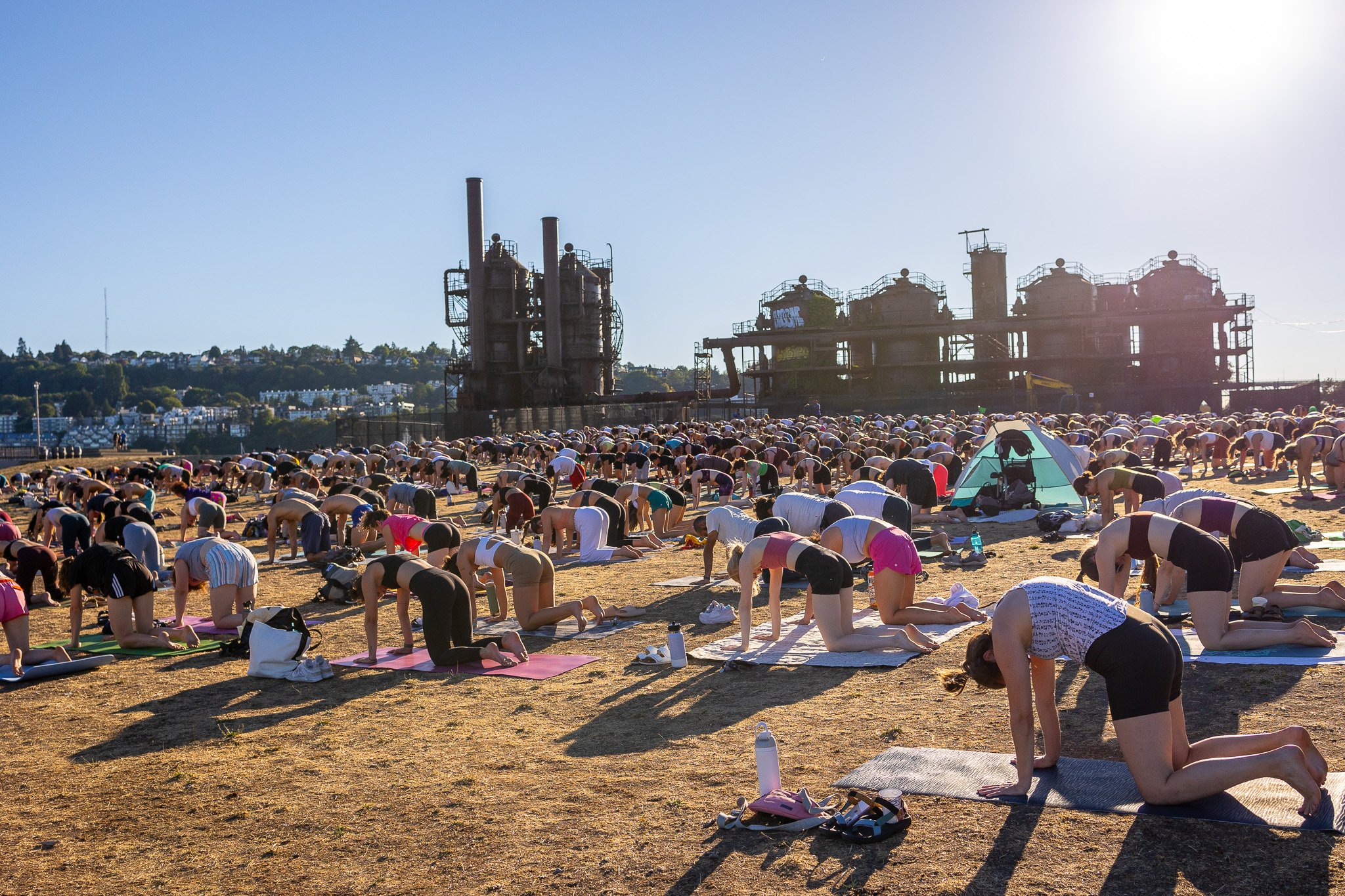 A large crowd on yoga mats mid-class on the lawn in front of the rusted towers of Gas Works Park in an earlier season.
