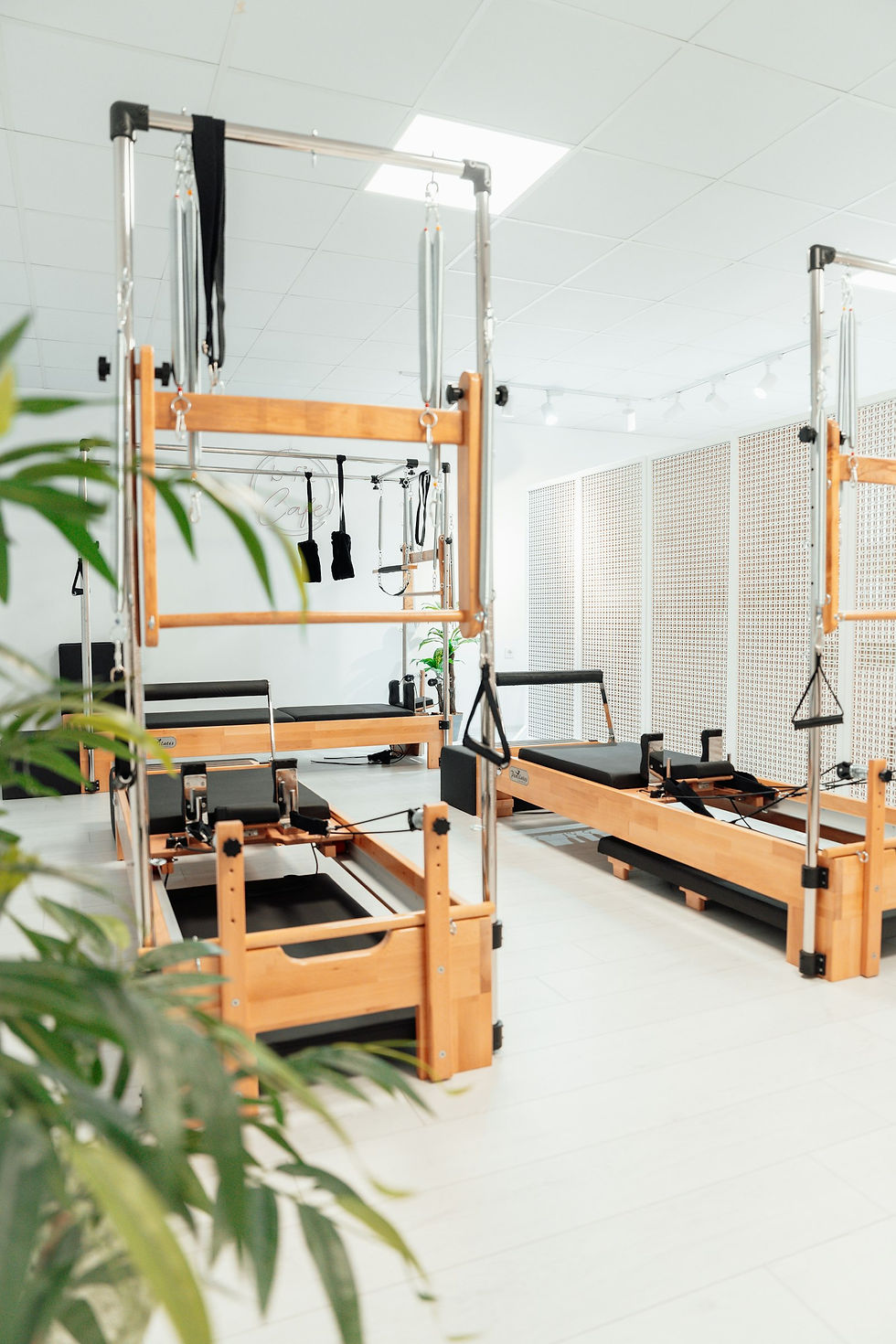Open gym floor with dumbbell racks and cable machines inside a boutique fitness studio in Seattle