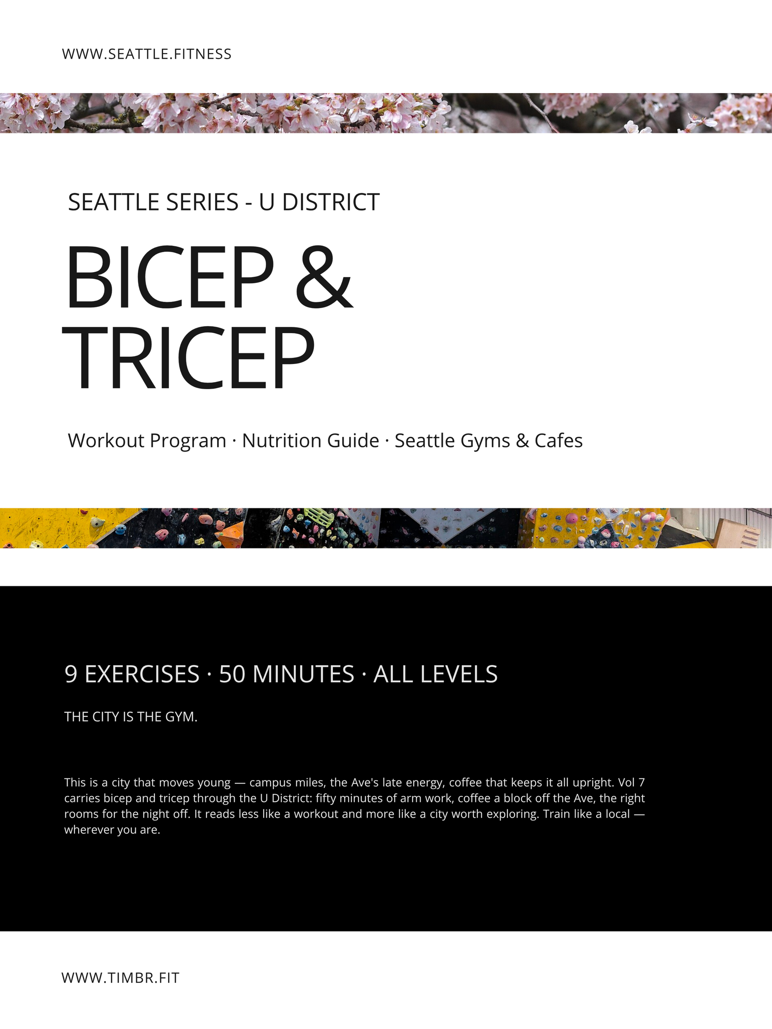 Workout Series Vol 07: Bicep & Tricep