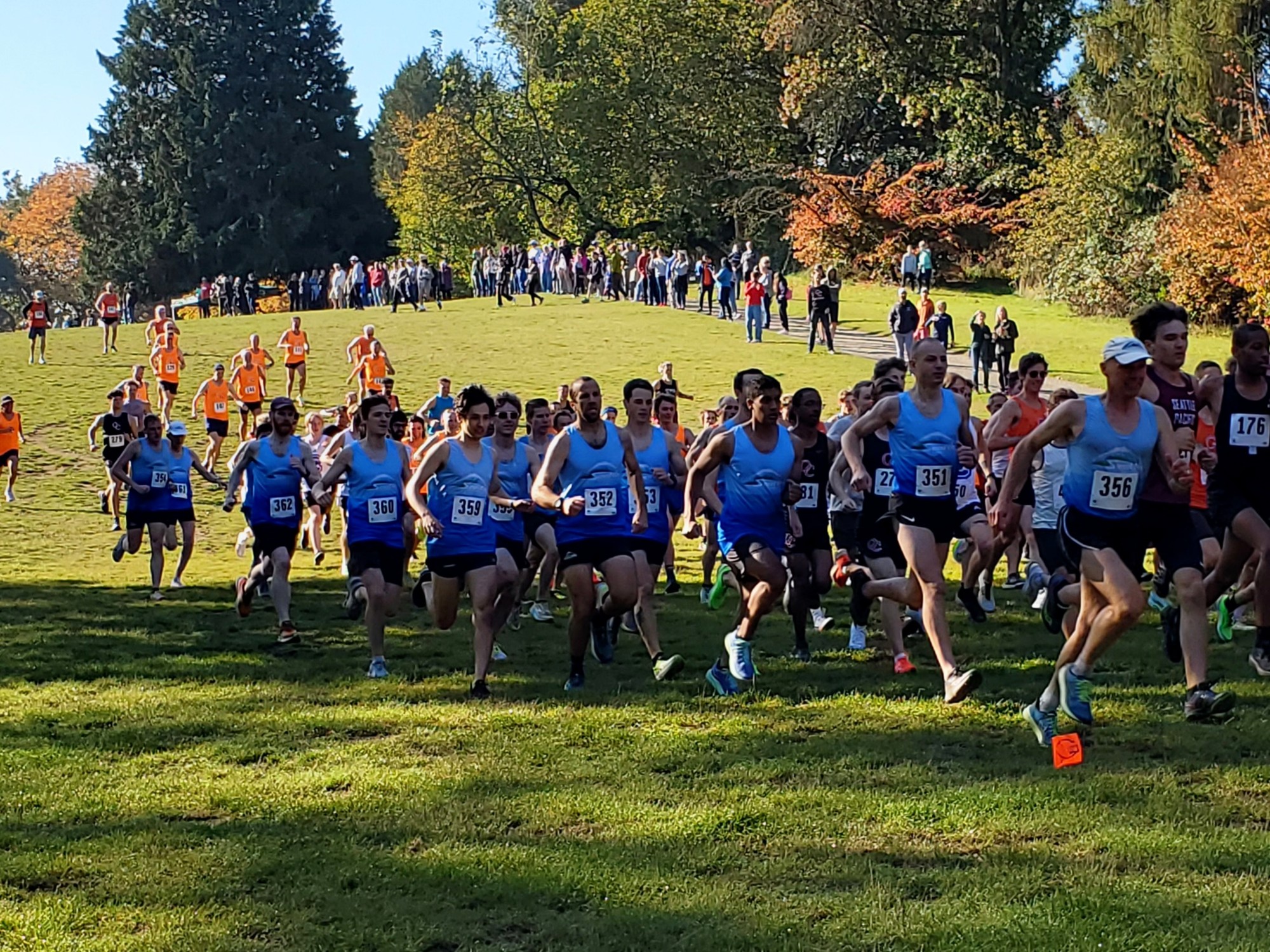 A large pack of runners in race bibs surging across a grass field at the start or early stages of a cross-country race. Most wear blue singlets with race numbers; a dense crowd of spectators lines the hillside behind them under autumn-coloured trees. The field is bright and open, clearly a grass XC course.