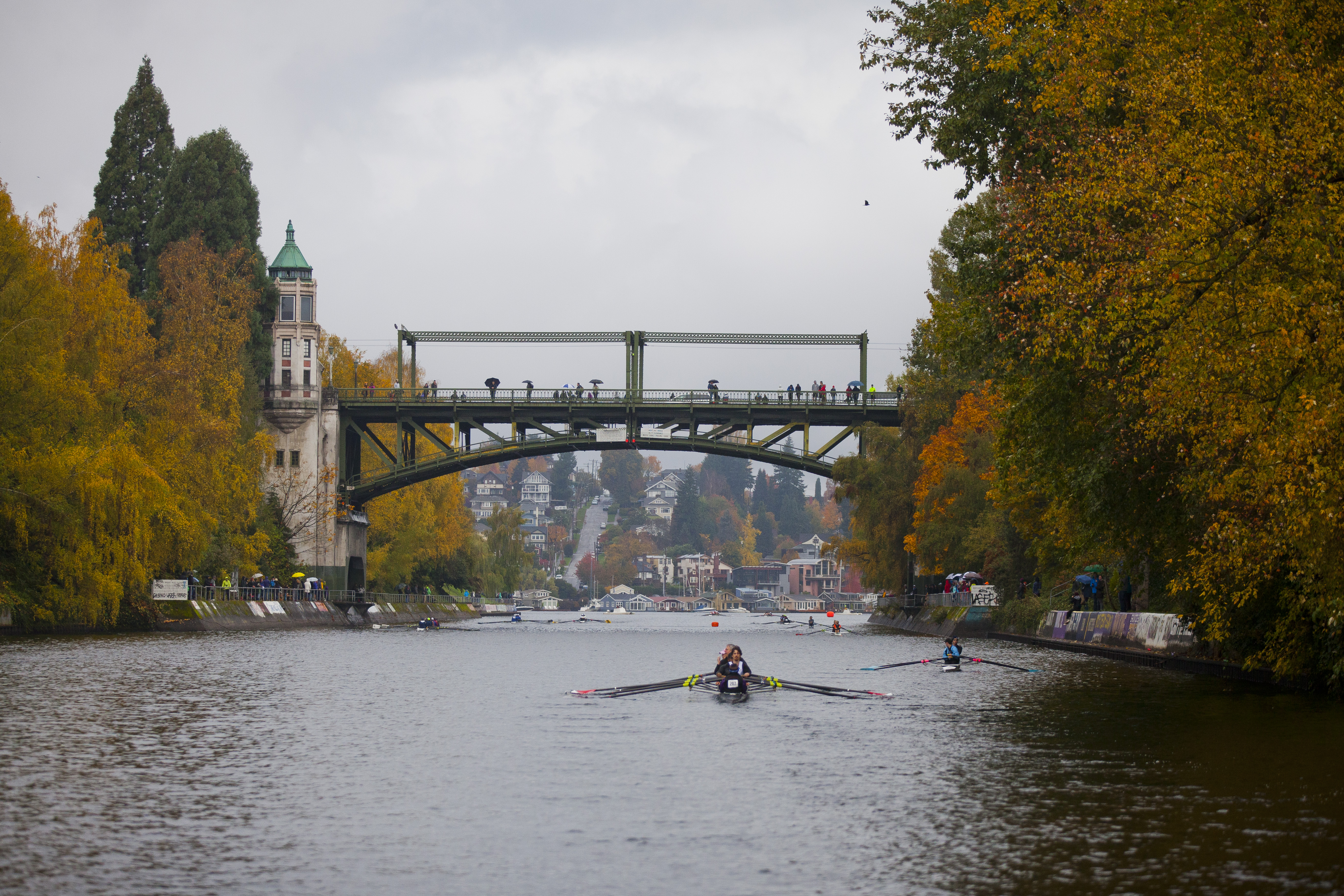 The 2015 Head of the Lake regatta on a rainy autumn day (Nov. 8, 2015), looking along the Montlake Cut toward the Montlake Bridge, with spectators on the bridge and along the walls and a coxed quad in the foreground.