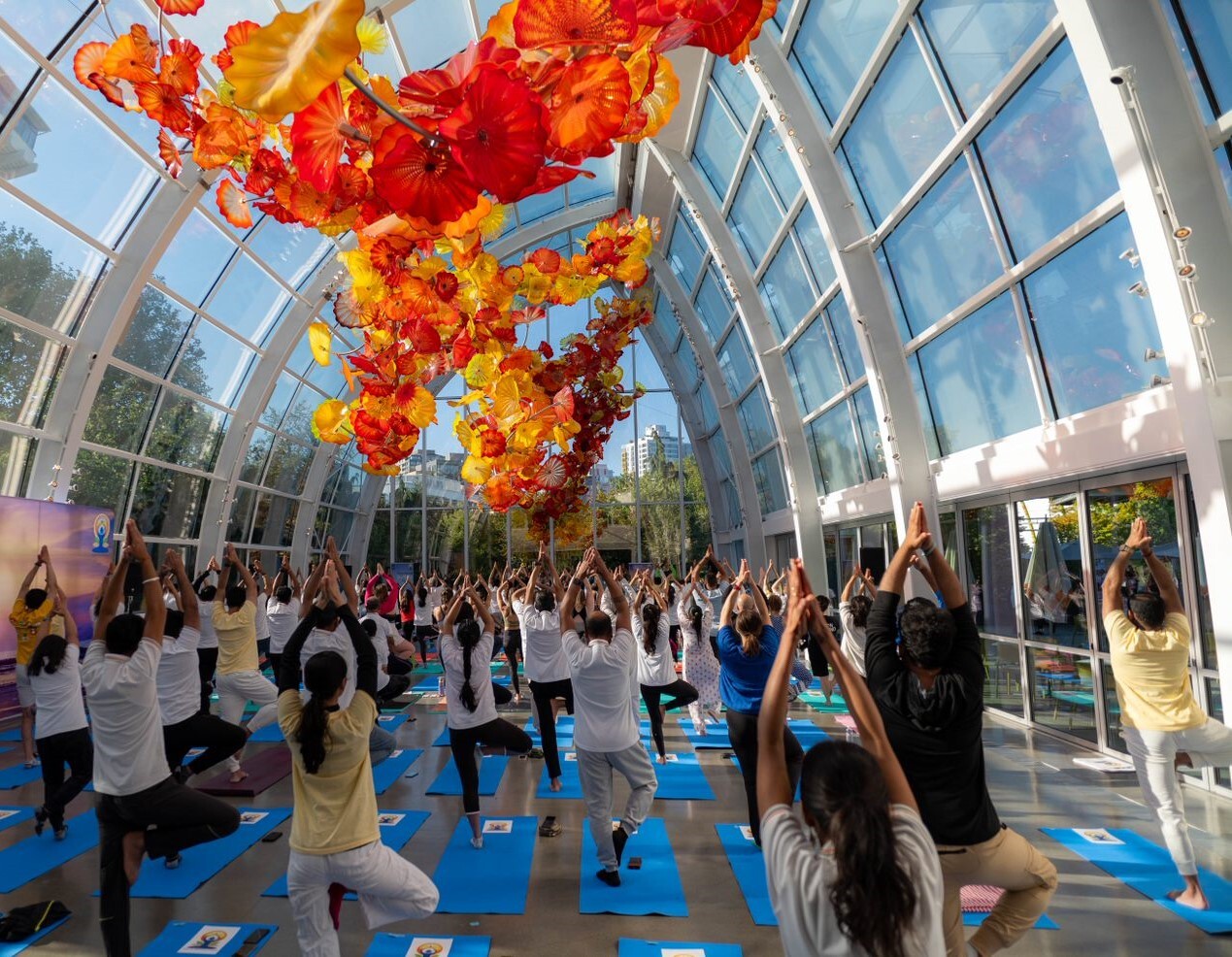 A past International Yoga Day event in the Glasshouse, with a full room of people in tree pose on blue mats beneath the red, orange and yellow suspended glass sculpture.