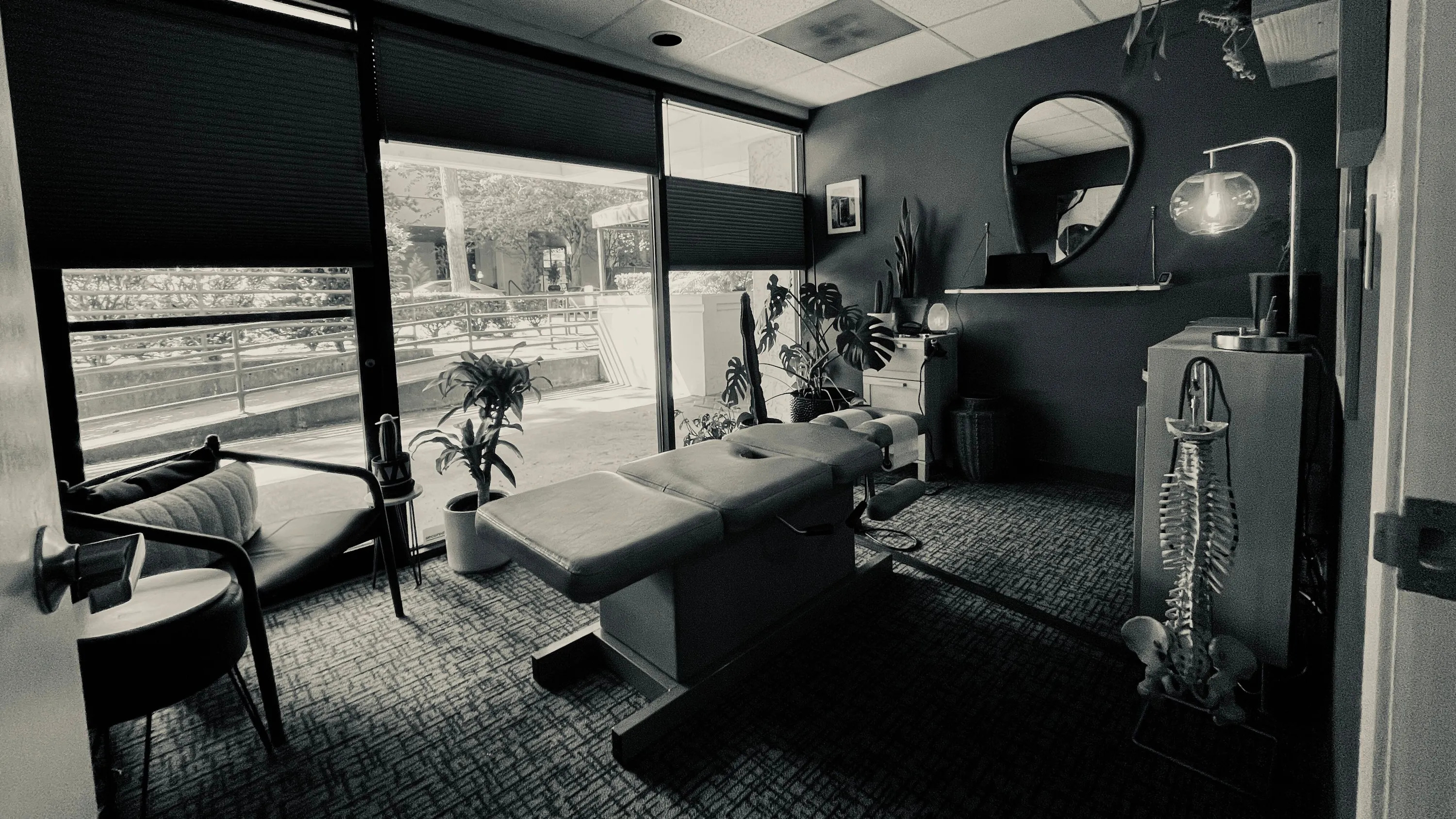 The treatment room at Capitol Hill Chiropractic in black and white, dark painted walls, floor to ceiling windows onto the street, an adjustable treatment table, an oval mirror and a large plant.