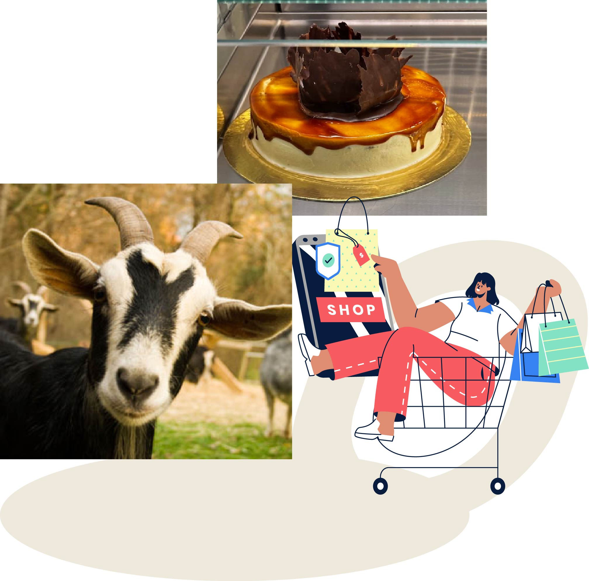 Goat (large) and Cake (Bilos, 1 Kg)