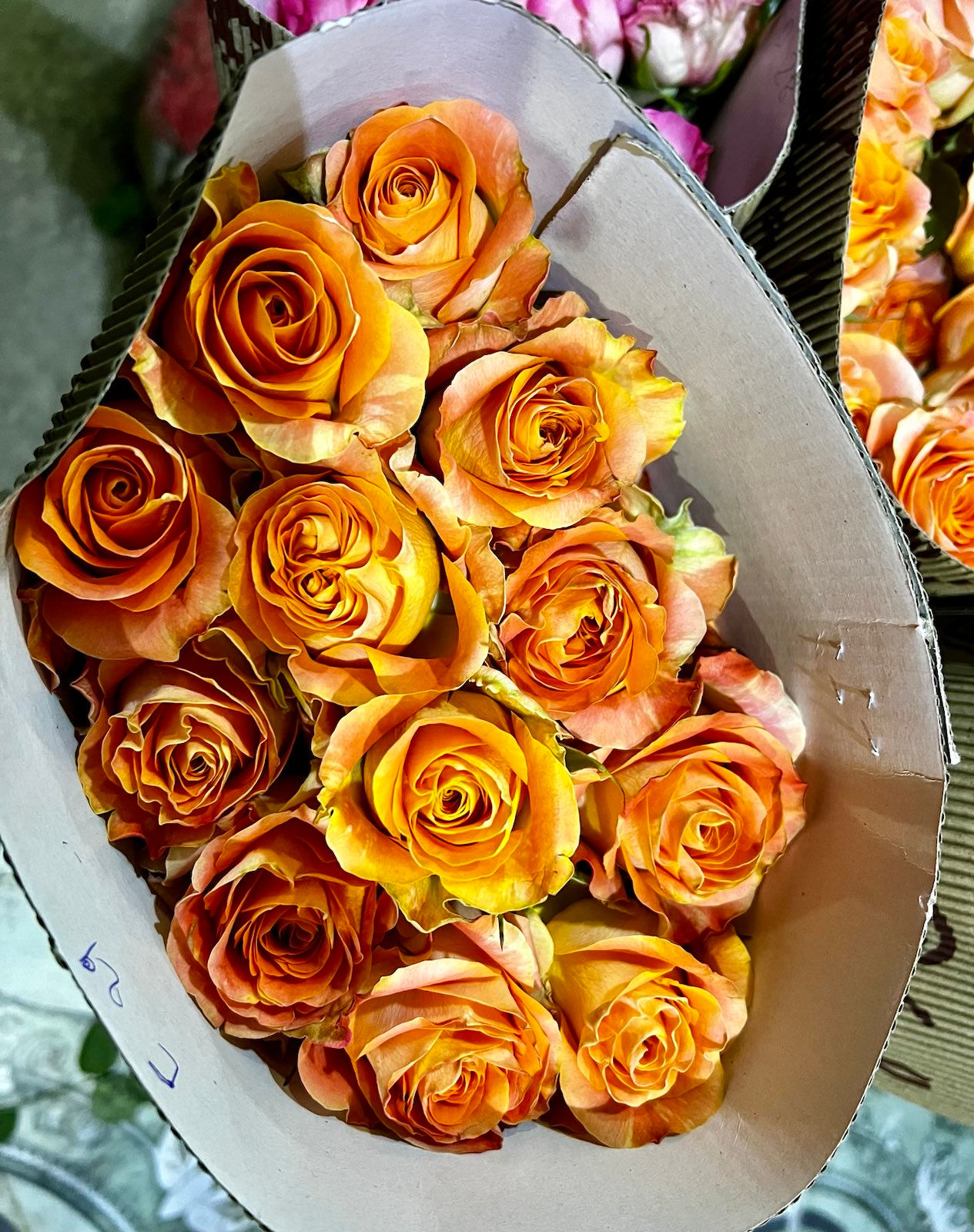 Orange Roses Gift 40 cm - Fresh Cut - 24 Stems