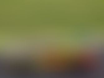 Em busca do tricampeonato da Stock Car, Gabriel Casagrande aprova sexta-feira de treinos em Interlagos