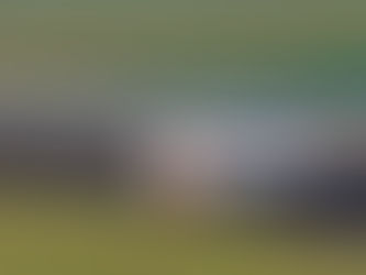 Nascar Brasil: Alex Seid é segundo colocado em Interlagos atrás apenas de convidado da NASCAR Cup Series