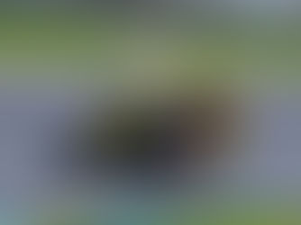 Pedro Balla domina estreia da Daytona 660 Cup em Interlagos