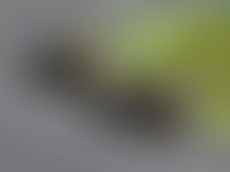 Pedro Balla supera Cauã Rodrigues em chegada histórica na terceira etapa da Daytona 660 Cup