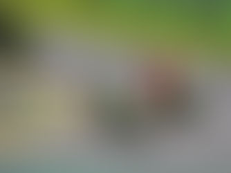 Motovelocidade brasileira perde piloto Peri Cunha em acidente fatal durante treinos em Curvelo